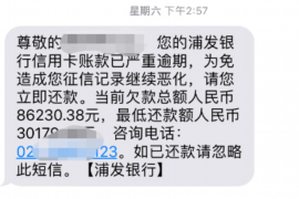 古蔺为什么选择专业追讨公司来处理您的债务纠纷？